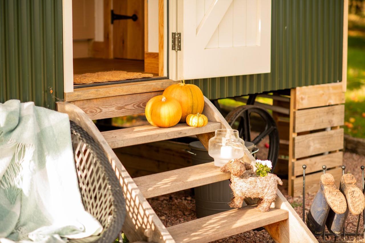 Harrys Hideout - Shepherd'S Huts At Harrys Cottages Pen-y-Clawdd Exteriér fotografie